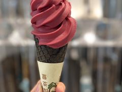 冰山杨梅脆筒-喜茶(广州北京路惠福东店)