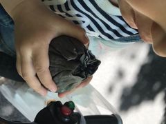 -旺福楼·包点(碑亭巷店)