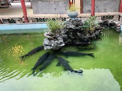 -寻味肇庆·八姑农庄·广府西江菜
