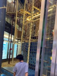 -PIPIKINGDOM皮皮王国欢乐号(欢乐海岸购物中心店)