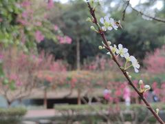 -桃花涧