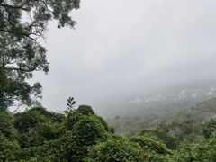 -海口火山口国家地质公园