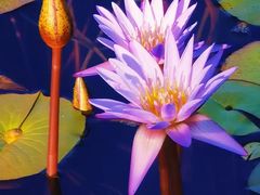 -国家植物园南园