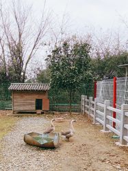 -长沙小顽国景区
