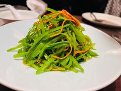 荷兰豆虫花草-清水蘭軒