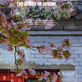 🌸京城赏花攻略|北土城地铁口，让你免费拥抱海棠花海🌷