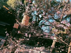 -热田神宫