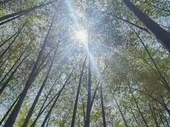 -陶祖圣境风景区