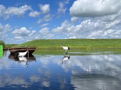 -黑龙江扎龙生态旅游区