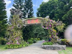 -东莞植物园