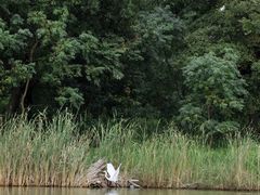 -苏州太湖国家湿地公园