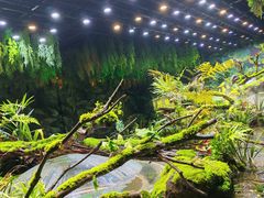 -海合安成都极地海洋公园