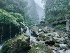 -三峡人家风景区