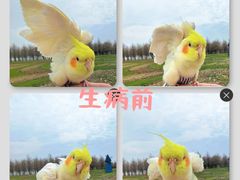 -雨林宠物医院 非犬猫异宠专科