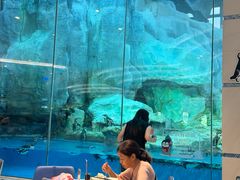 -帝企鹅自助餐厅•儿童岛•真企鹅(长隆企鹅酒店)