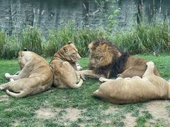 -北京野生动物园