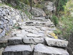 -北京鹫峰国家森林公园