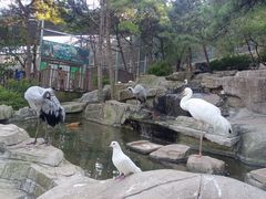 -燕塞湖鸟语林景区