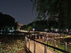 -映月湖公园