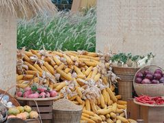 -中国天府农业博览园