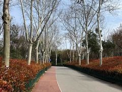 -西安市长乐公园