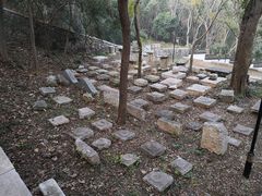 -镇江市南山风景名胜区竹林景区