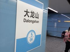 -大龙山(地铁站)