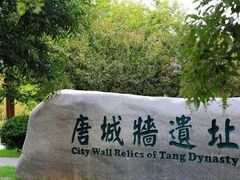 -唐城墙遗址公园