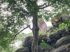 -海口火山口国家地质公园