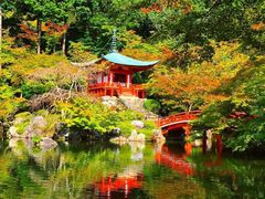 -醍醐寺