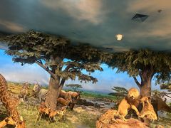 -国家自然博物馆