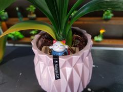 -宽窄巷子火锅(周浦店)