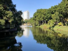 -荔湾湖公园