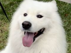 -青岛海尔洲际酒店