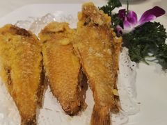 炸马头鱼-潮人姐妹轩(海宁路店)