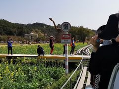-红山村