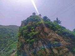 -王顺山国家森林公园