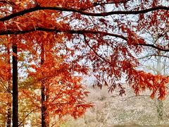 -白水寺森林公园