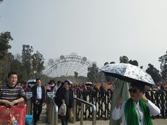 -秀丽东方