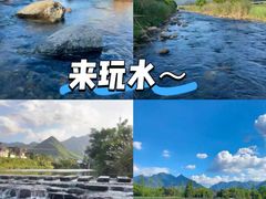 -阿露佳·舌尖上的安吉菜