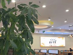 -顺旺基大厨现炒(哥伦布店)