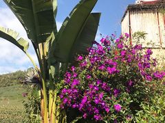 -优游吧斯邹族文化部落