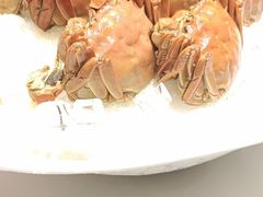 -同庆楼(奥体中心店)