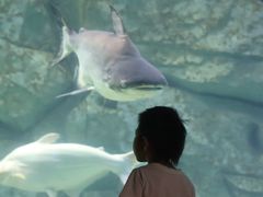 -泉城欧乐堡海洋极地世界