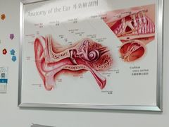 -自然之声助听器·呼吸机(翠微大厦店)