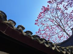 -上海醉白池公园