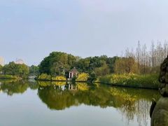 -成都南湖公园