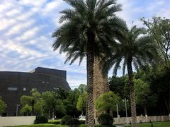 -国际非物质文化遗产博览园