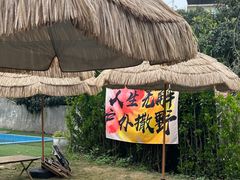 -桃源山庄·水蜜桃采摘·柴火鸡·烧烤团建(龙泉山店)