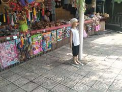 -白洋淀景区